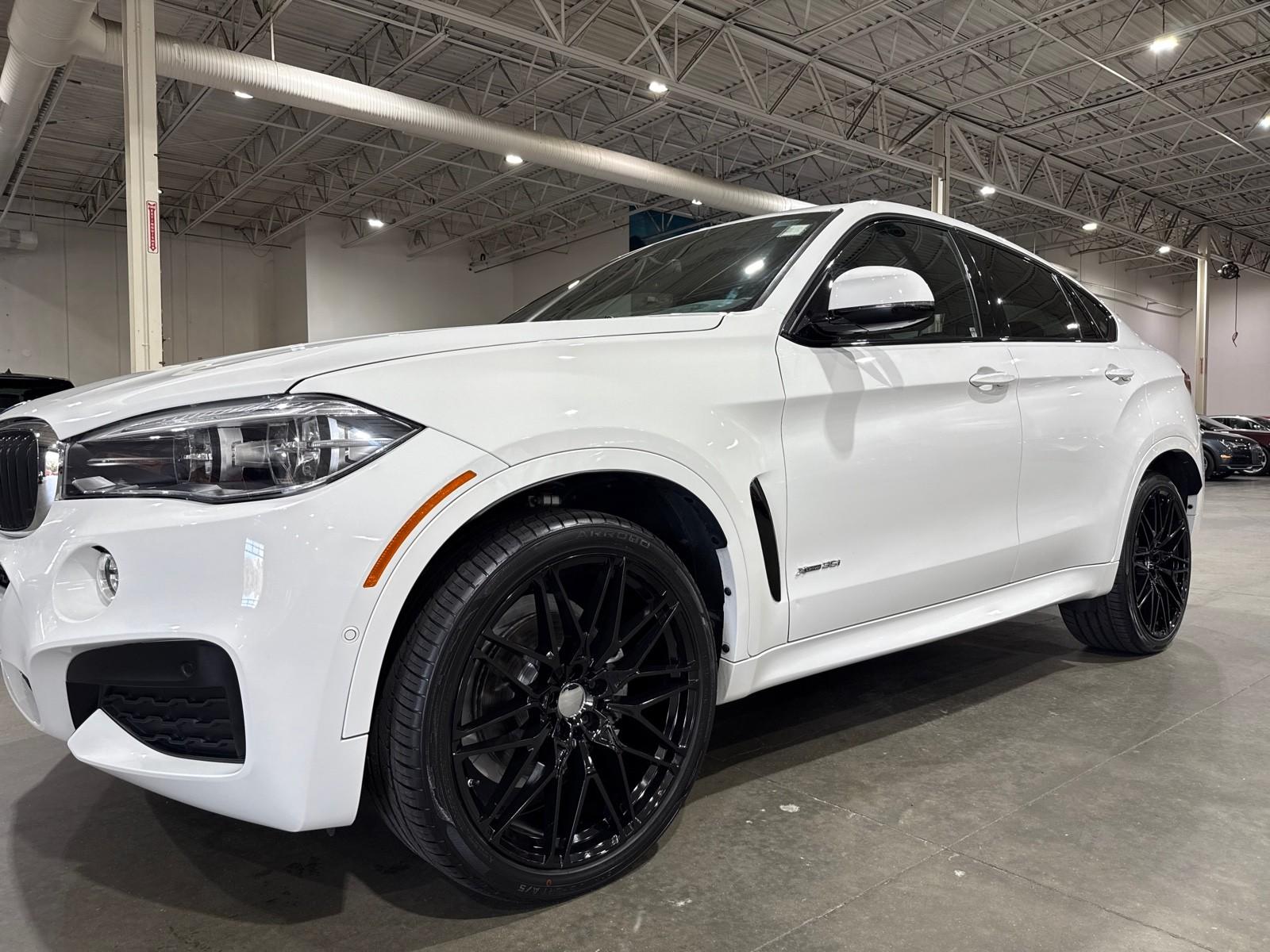 2019 Bmw X6 xDrive35i M photo 17