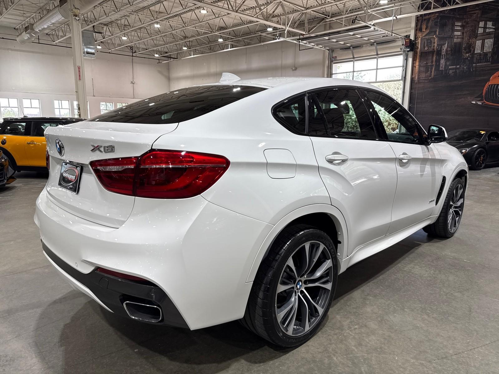 2019 Bmw X6 xDrive35i M photo 29